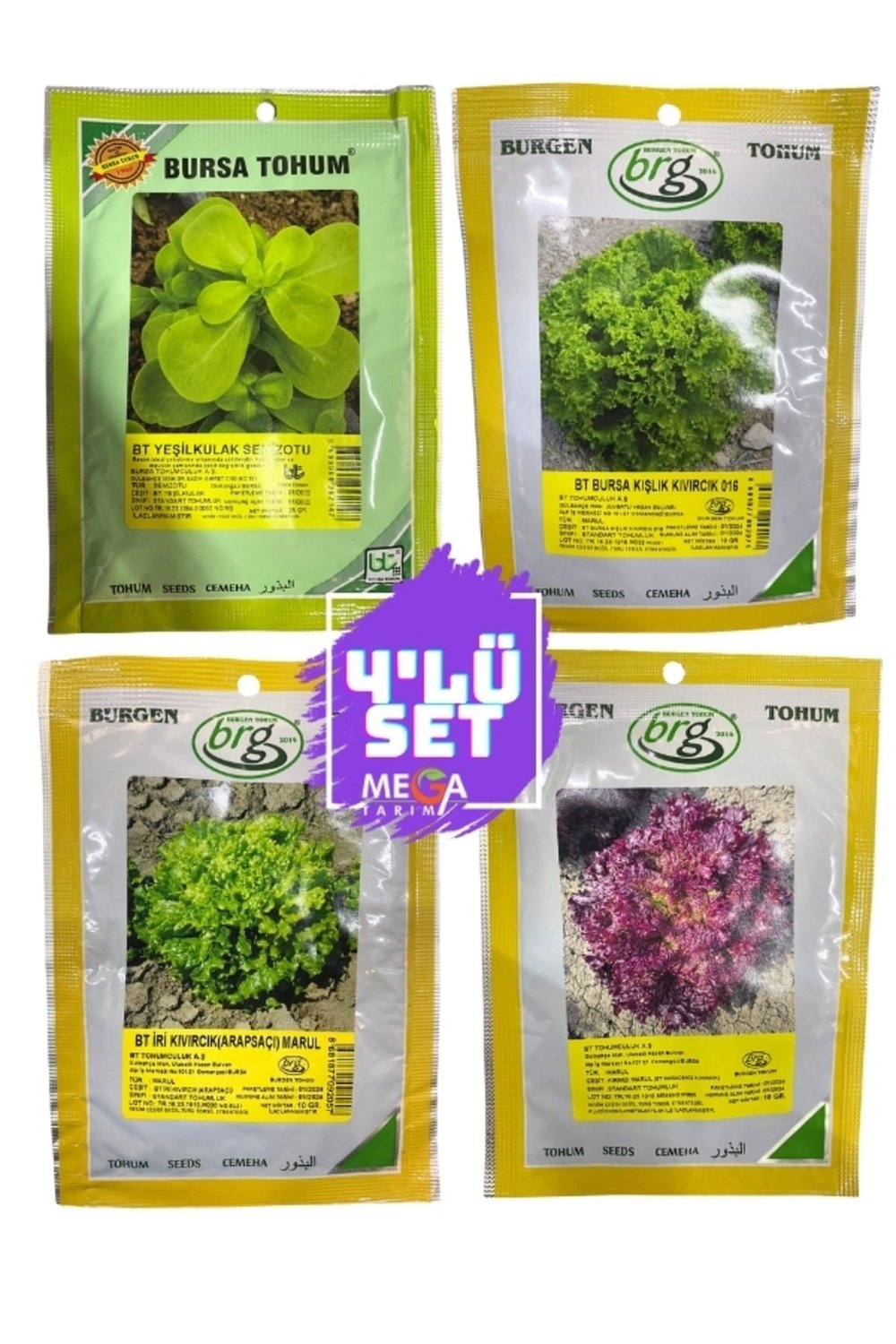 4'LÜ TOHUM SETİ ( SEMİZOTU-KIŞLIK KIVIRCIK-ARAPSAÇI MARUL -KIRMIZI MARUL ) 10 GR PAKETLER