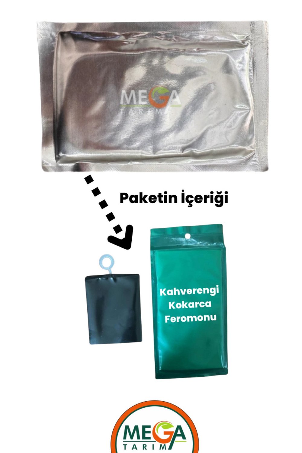 Kahverengi Kokarca Feromonu