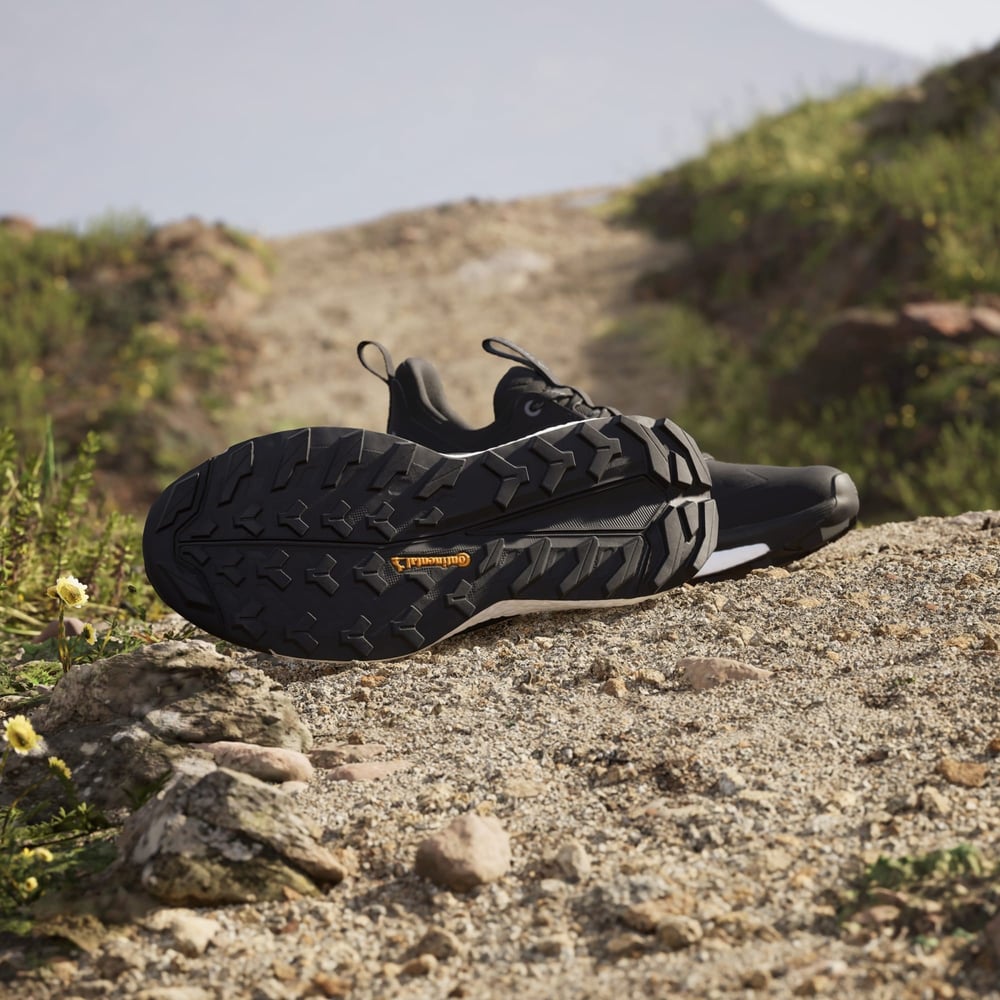 Terrex Free Hiker 2.0 Low Gore-Tex Hiking Ayakkabısı
