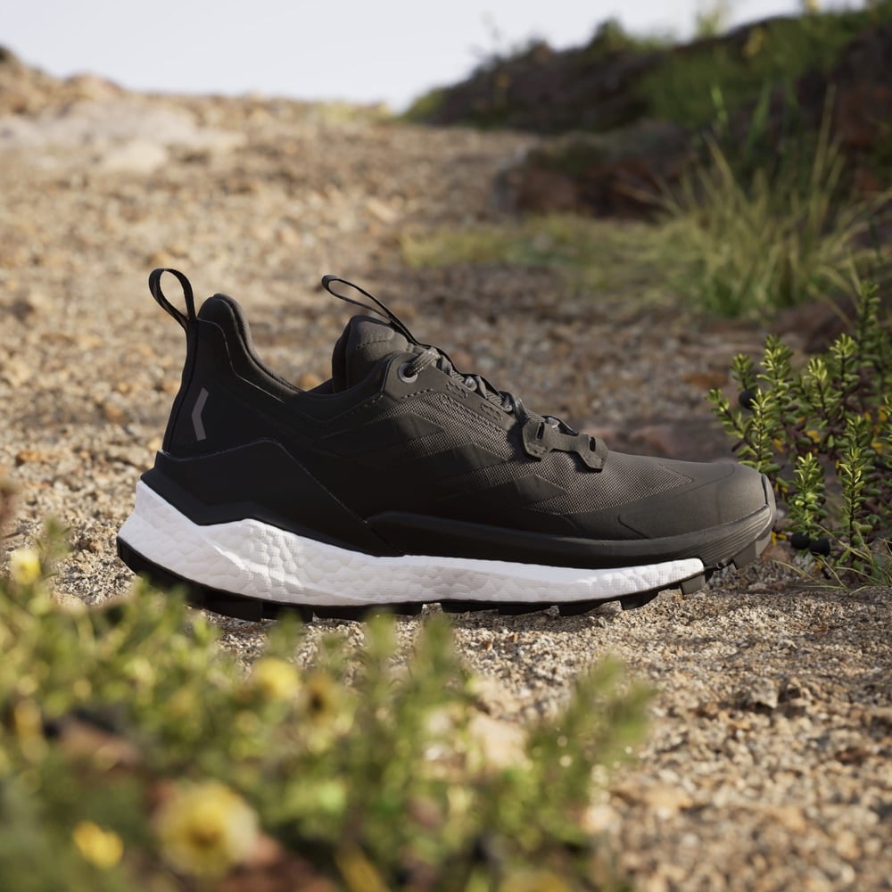 Terrex Free Hiker 2.0 Low Gore-Tex Hiking Ayakkabısı