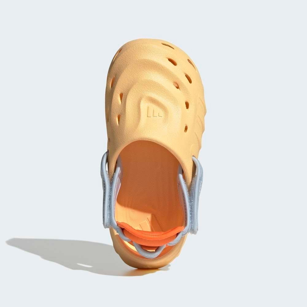 MAXXCLOG K