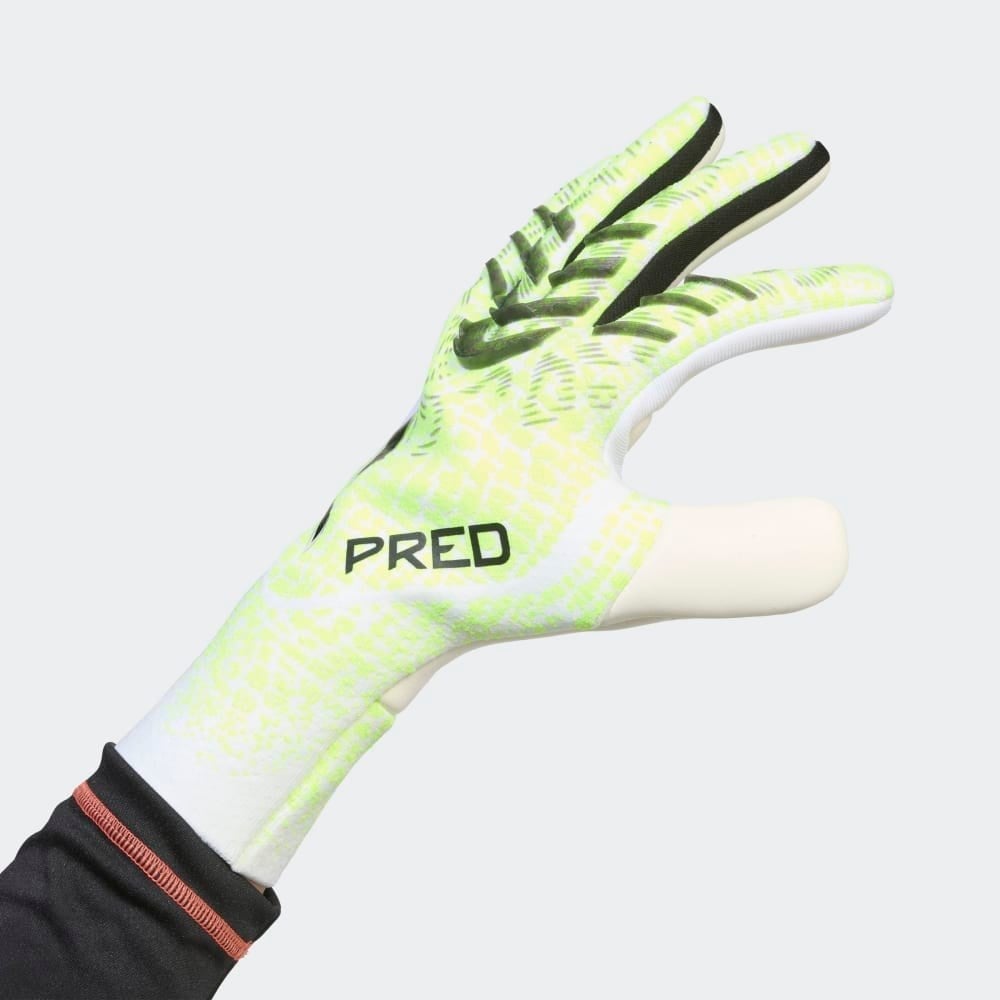PRED GL PRO
