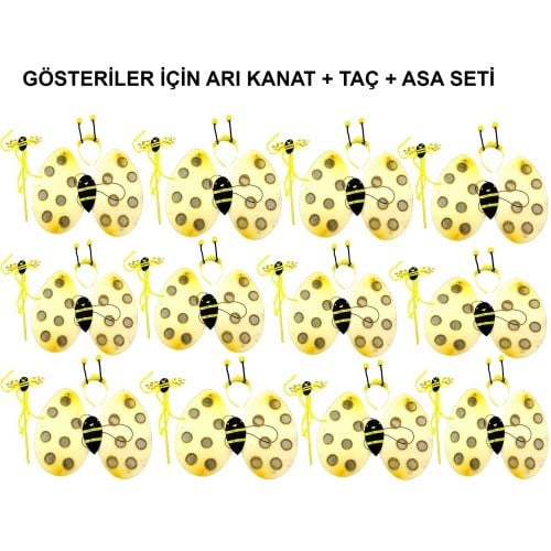 Okul Gösterileri için 12'li Arı Kanadı Seti - Etkinlik Kanatları