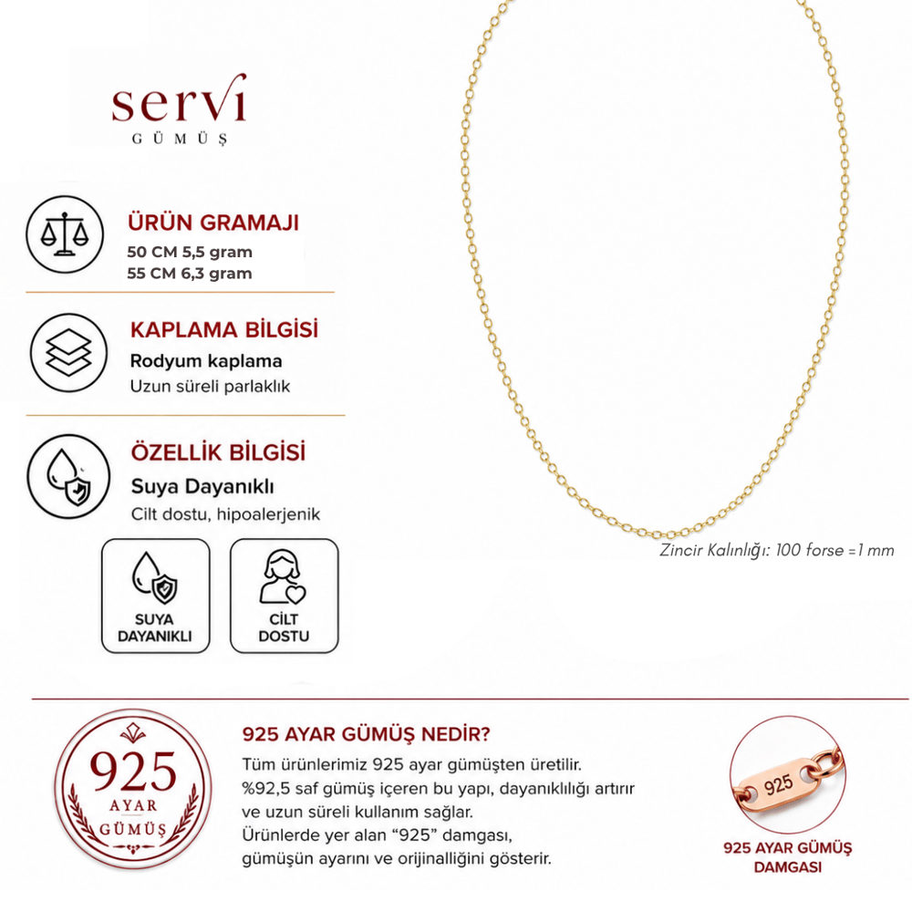 Servi 925 Ayar Gümüş Altın Renk Rolo Zincir Kolye