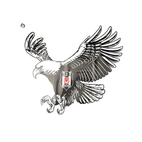 Beşiktaş Kartal-2 40x50 cm Büyük Sticker