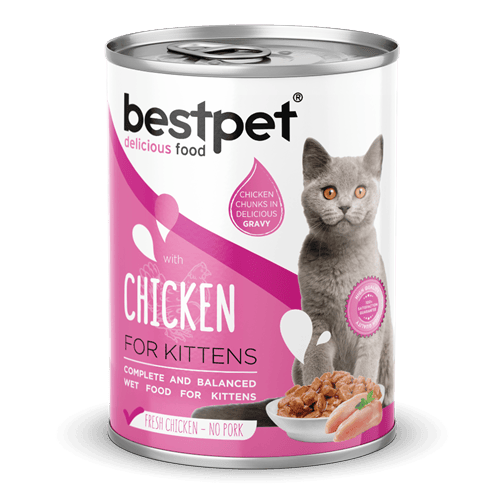 Bestpet Yavru Kediler İçin, Taze Tavuk Parça Etli Ve Soslu Yaş Mama 400 gr