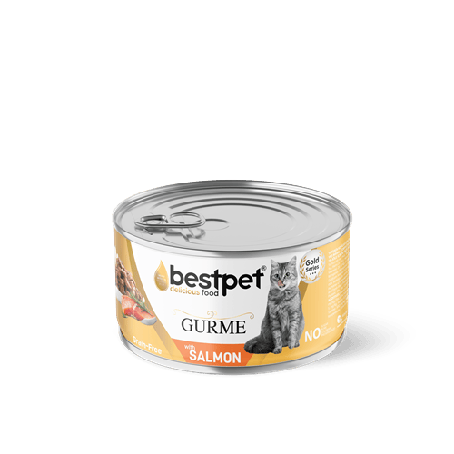 Bestpet Yetişkin Kediler İçin Tahılsız, Jöle İçinde Somon Balıklı Yaş Mama 85 gr