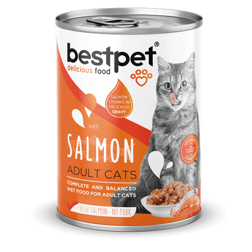 Bestpet Yetişkin Kediler İçin, Taze Somon Parça Etli Ve Soslu Yaş Mama 400 gr