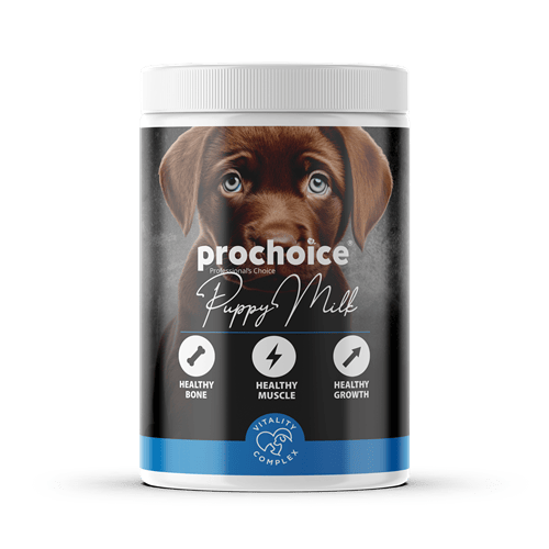 Prochoice Yavru Köpekler İçin Anne Devam Sütü 200 gr