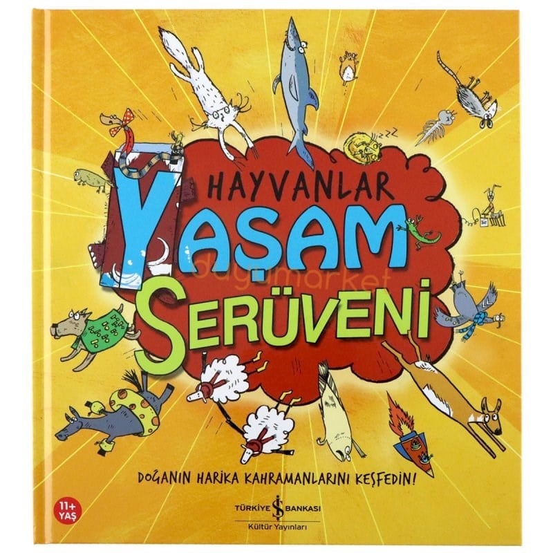 Hayvanlar – Yaşam Serüveni