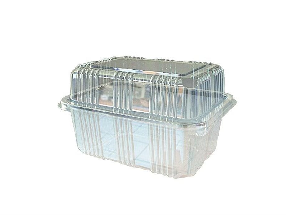 Alissa Sızdırmaz Peynir Kabı 500 Gr   (100 Adet)