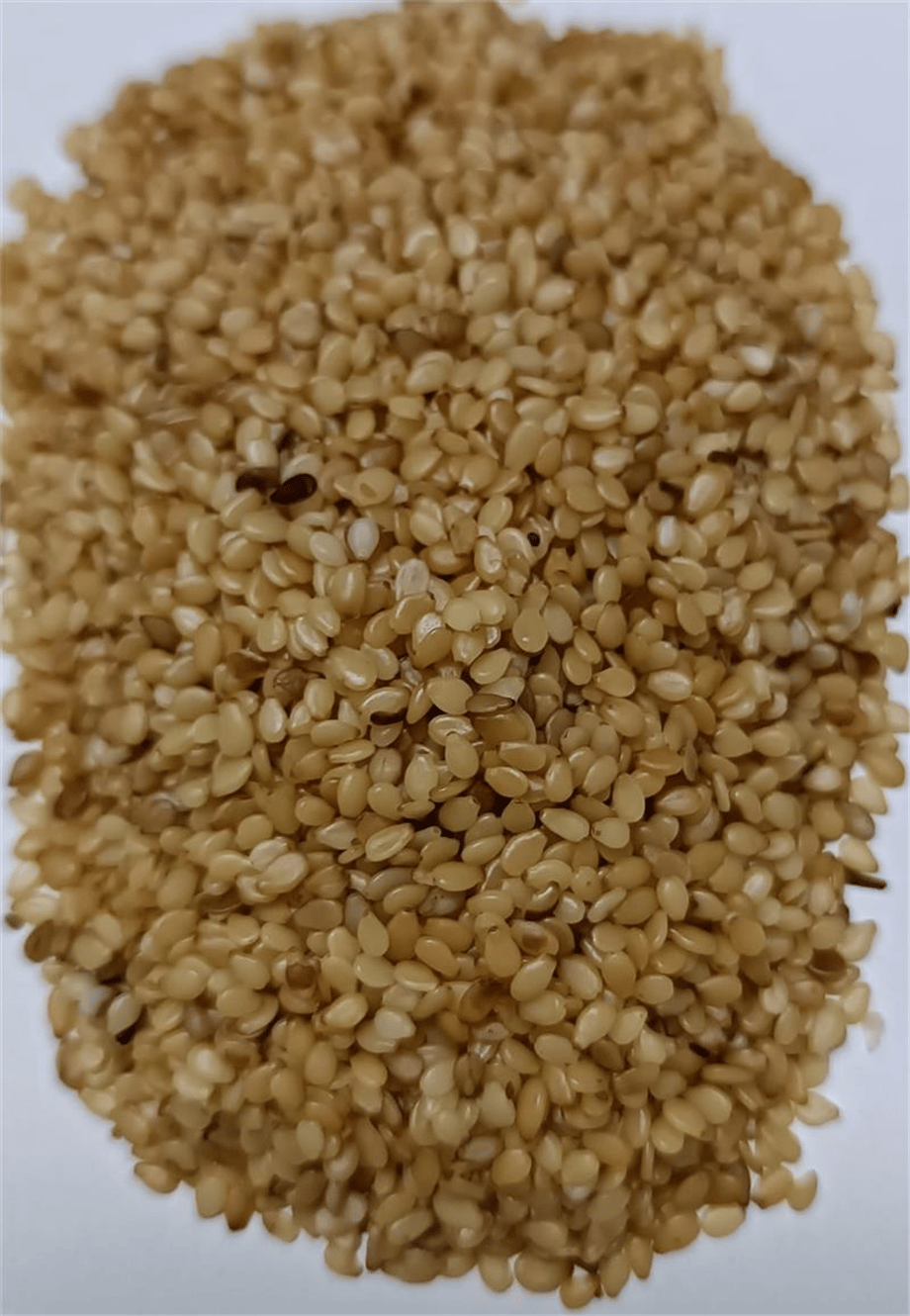 İnci Susam Pastalık Kızaran   (25 Kg)