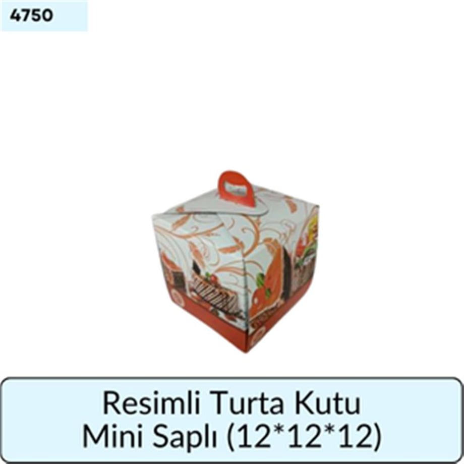 RESİMLİ SAPLI TURTA KUTU MİNİ (12*12*12)