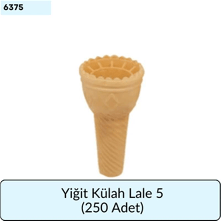 Yiğit Külah Lale 5 (250 ADET)