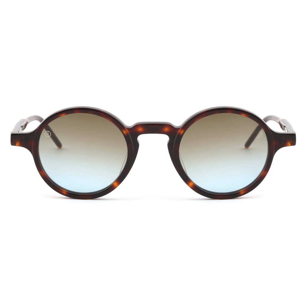 EDL Eyewear 8615 C005