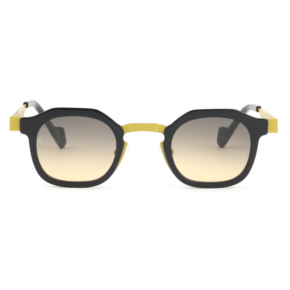 EDL Eyewear 8690 C001