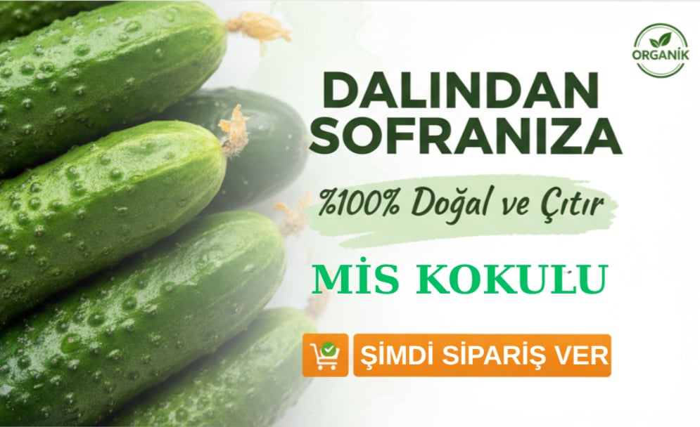 Organik Salatalık