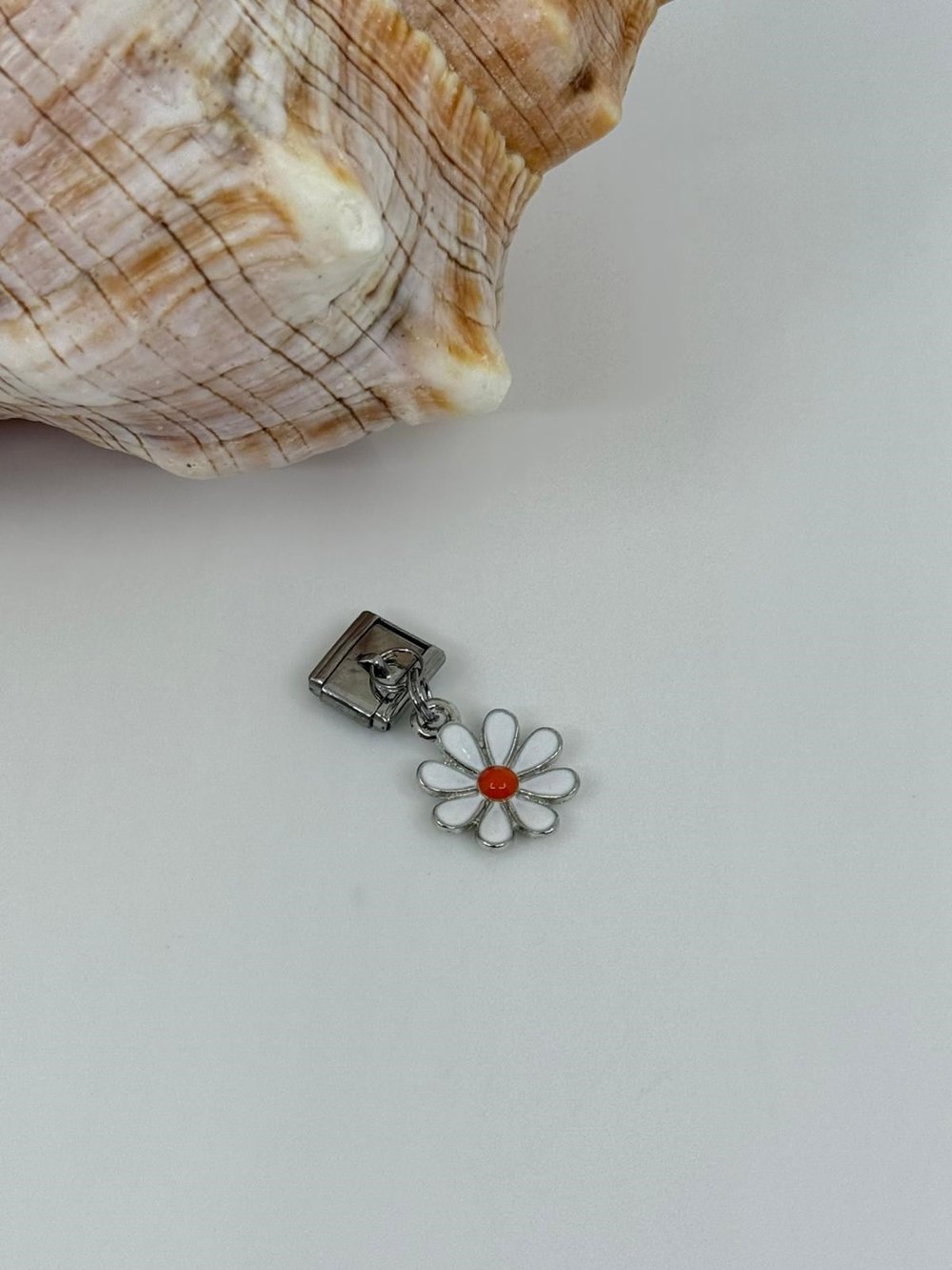 Nomi charm