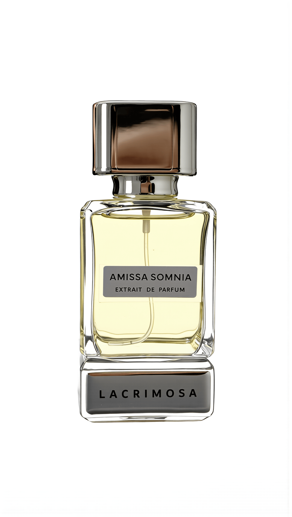 Amissa Somnia 50 ml Kadın Parfüm Çiçeksi & Ferah, Gül, Şakayık, Paçuli