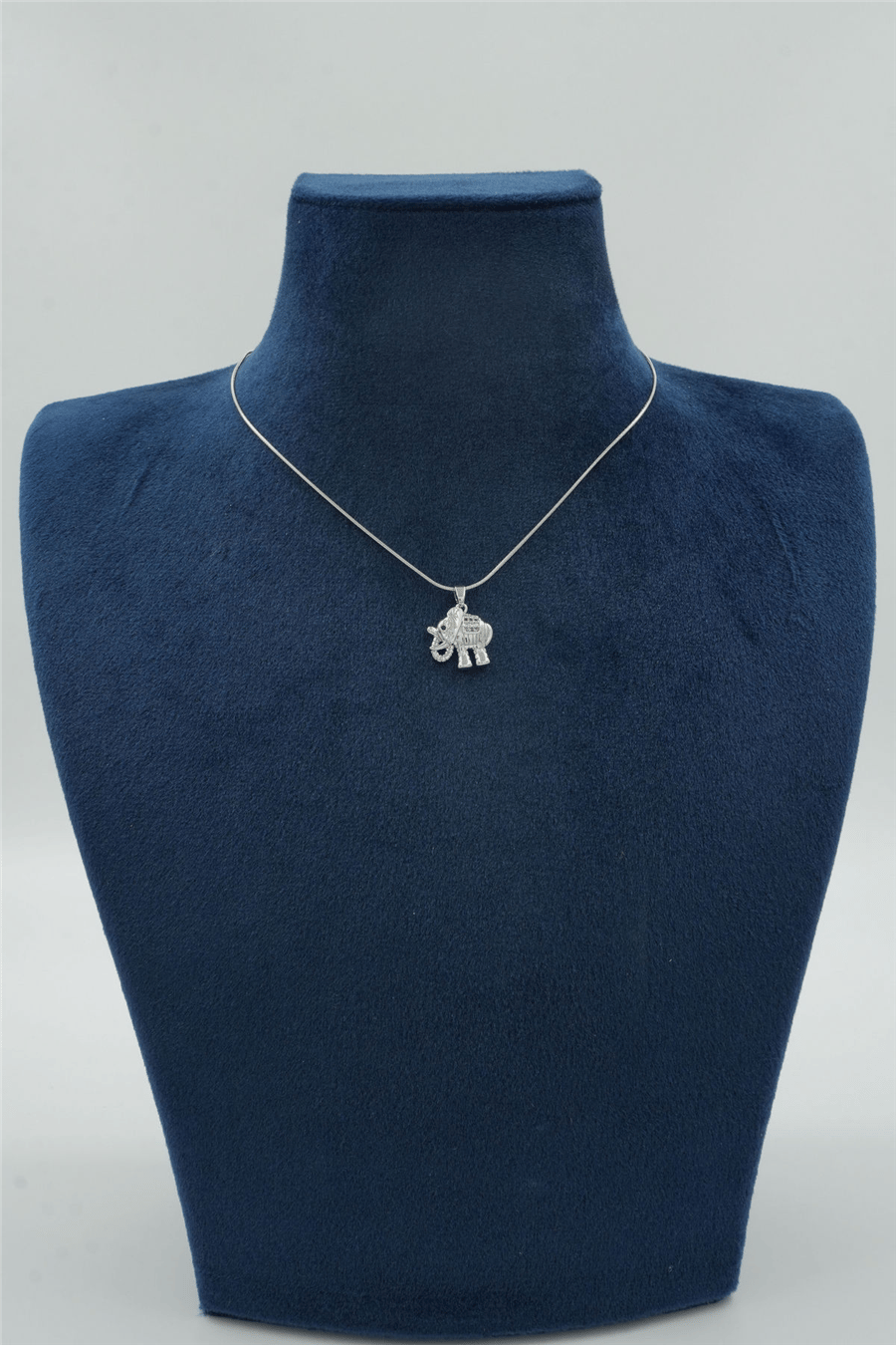 Premium Uçlu Kolye Silver