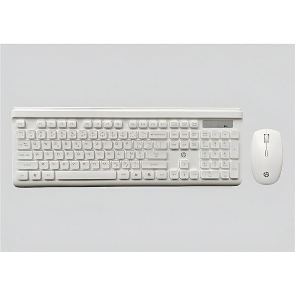 HP CS500 Keyboard and Mouse Set