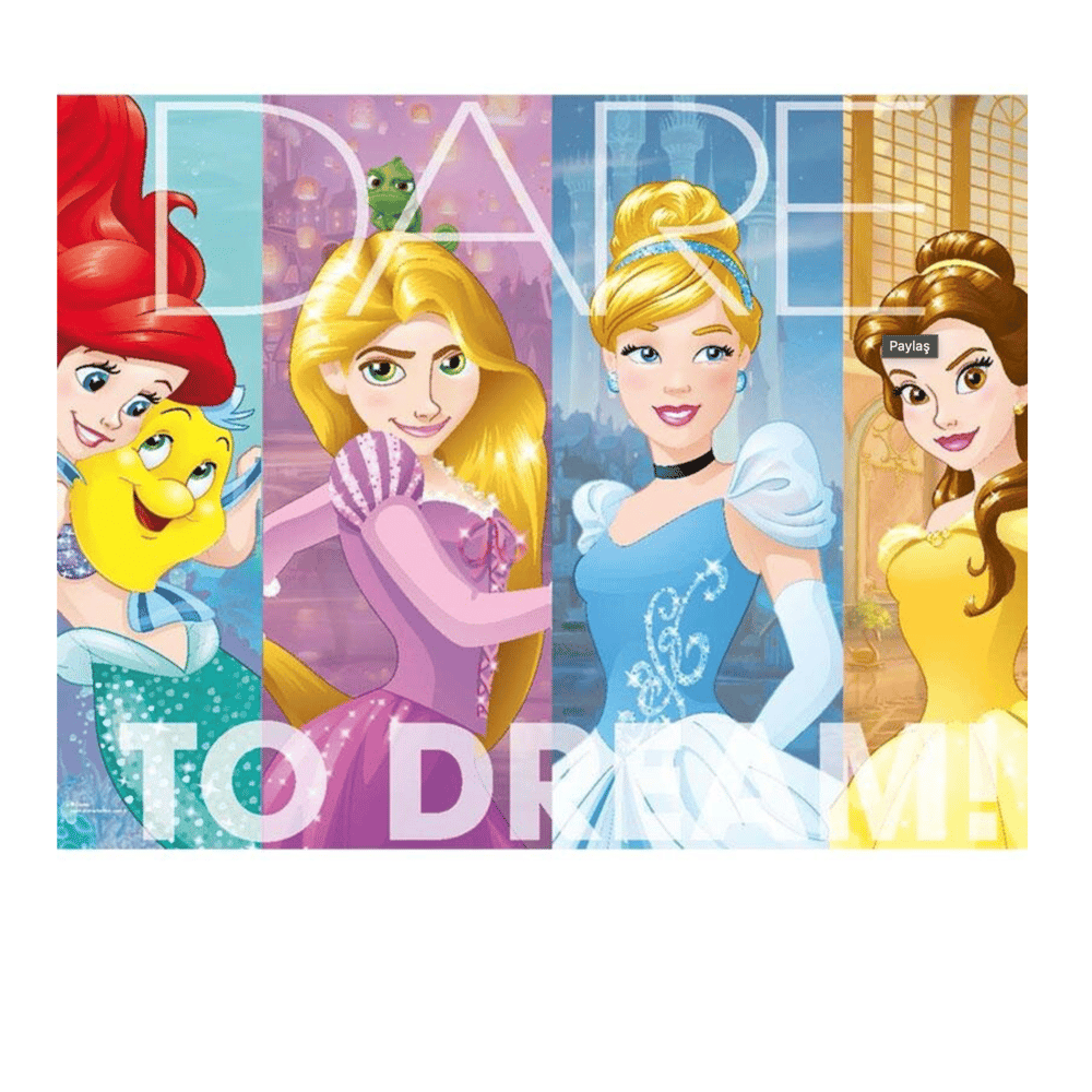 KS PUZZLE PRINCESS 100