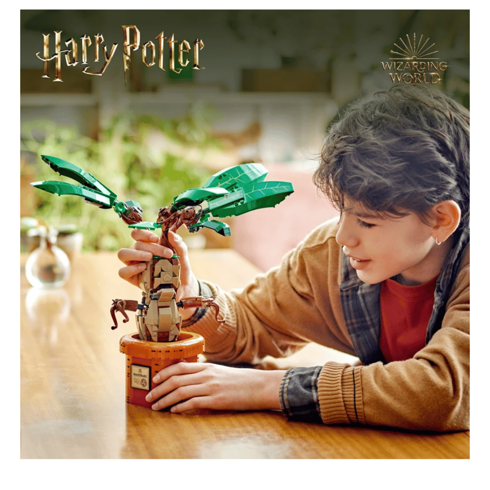 LEGO Harry Potter  Adamotu 