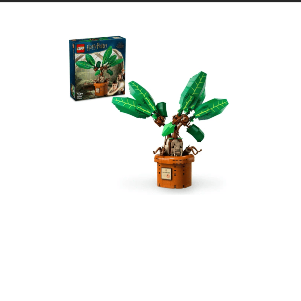 LEGO Harry Potter  Adamotu 