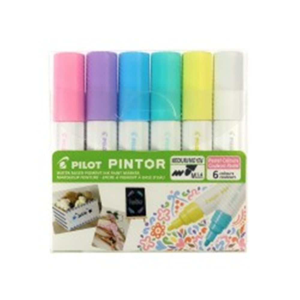 PINTOR-M-6 COLOR SET (PASTEL)