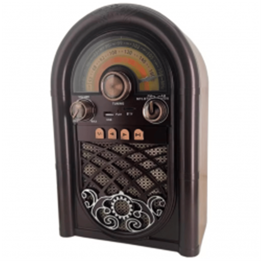 RAISENG R-1950BTL FM Müzik Çalar