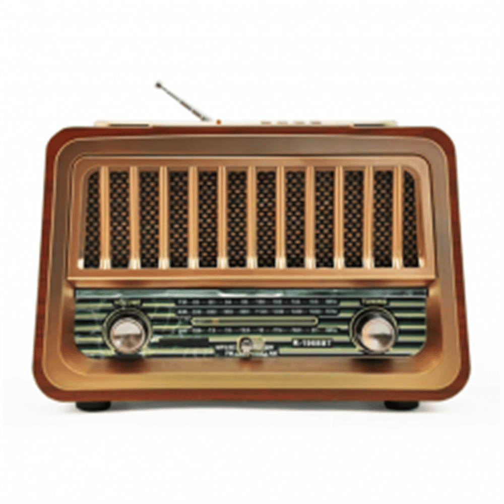 RAISENG R-1968BT FM Müzik Çalar