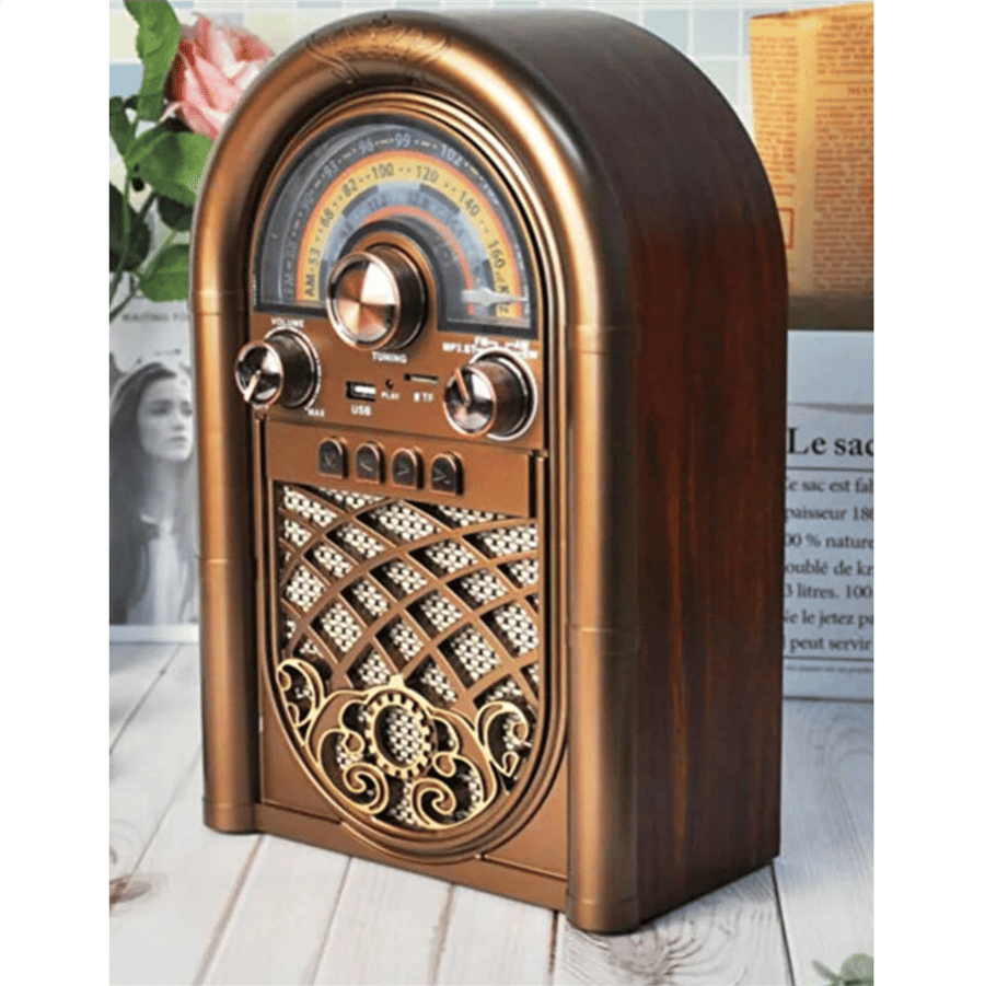 RAISENG R-1950BTL FM Müzik Çalar