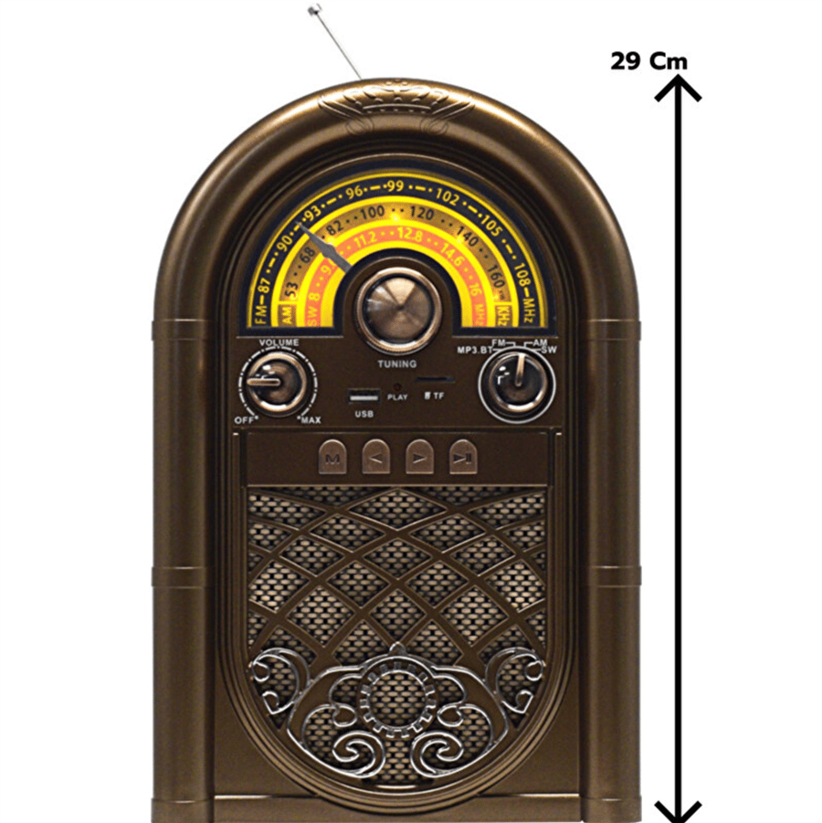 RAISENG R-1950BTL FM Müzik Çalar