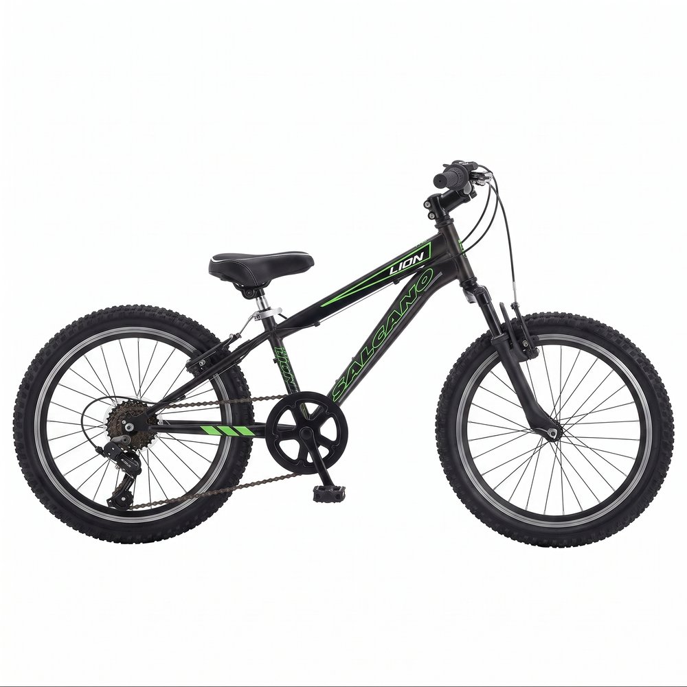 SALCANO LION 20 V SİYAH/YEŞİL BİSİKLET