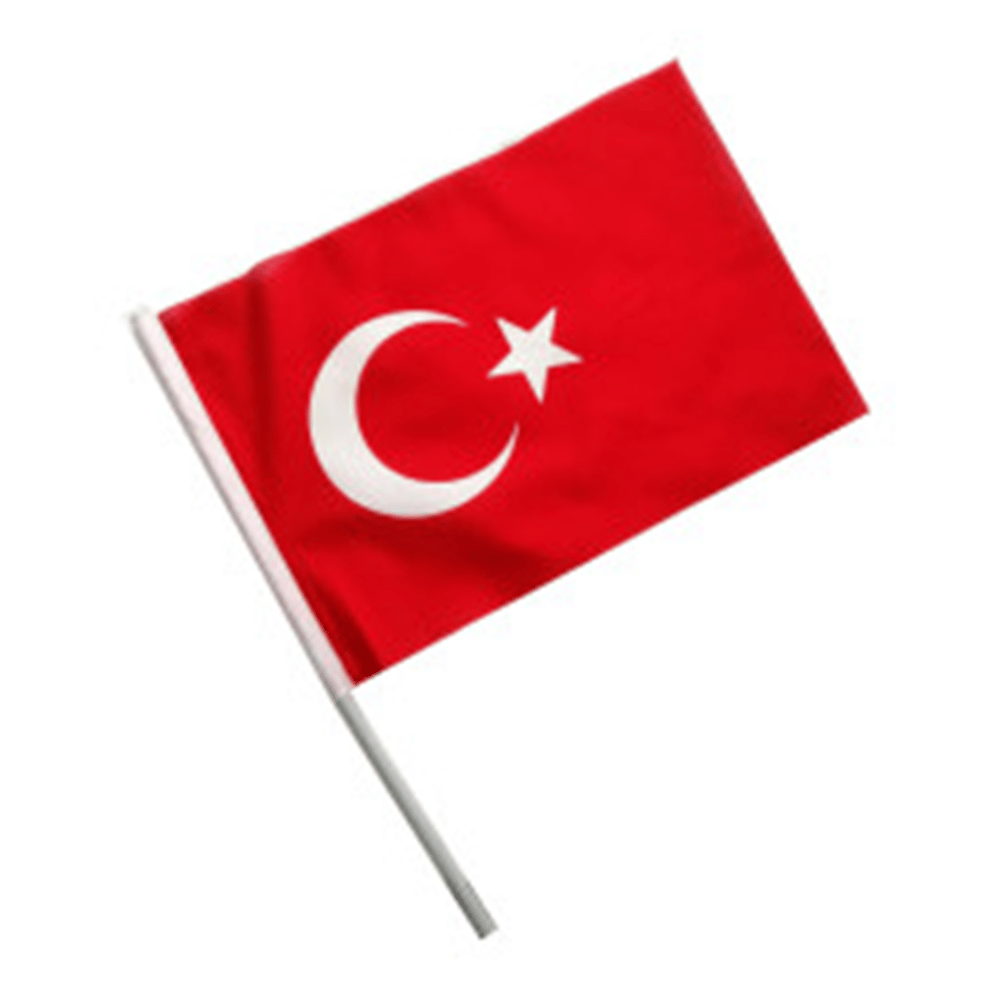 TÜRK BAYRAĞI SALLAMA 20*30 CM