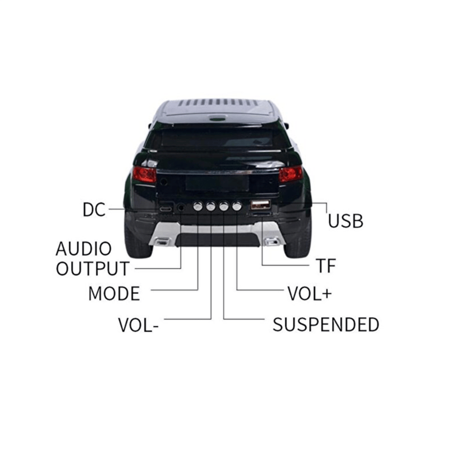 WSTER WS-389 FM Müzik Çalar