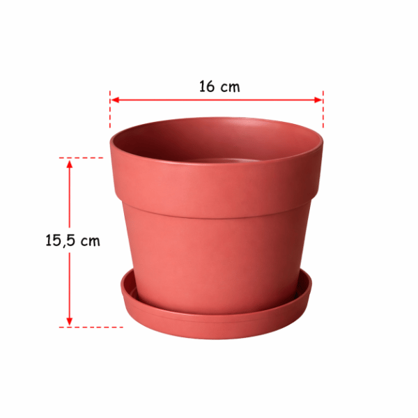 2-lt-yasemin-saksi-no4-910-c27f-4.png