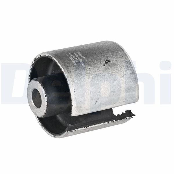 Burç Delphı Td2028w