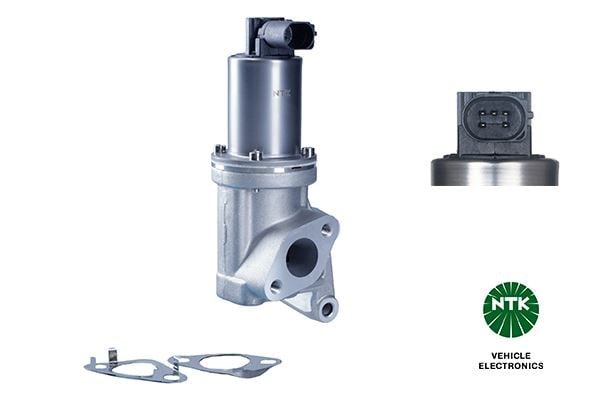 Egr Valfi Ege5-D038 Hyundaı-Kıa Ngk 95819