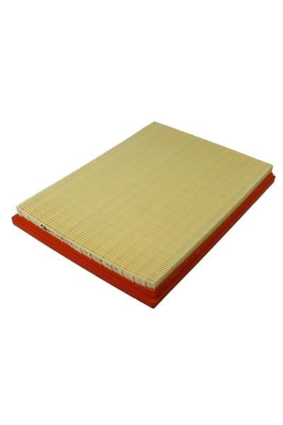 Hava Filitresi Ast-F Gm 25062467