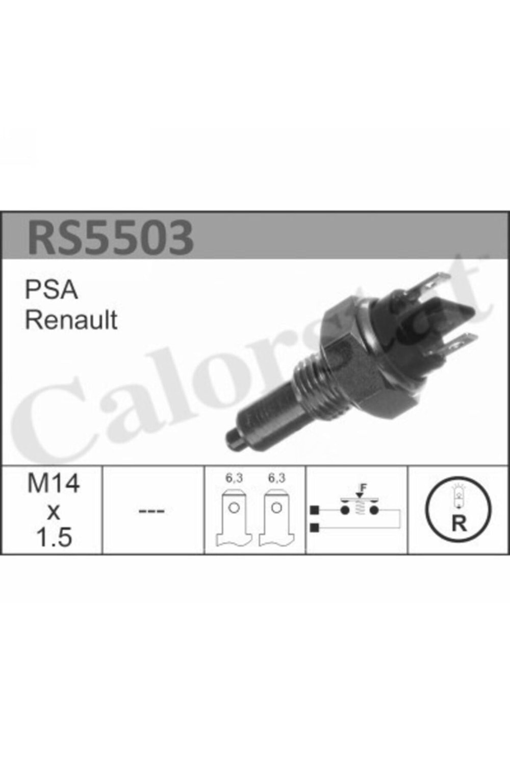 Rs5503 7700591730 7700732506 7701348716 Gerı Vıtes Musuru R9 R11 R21 Ax B