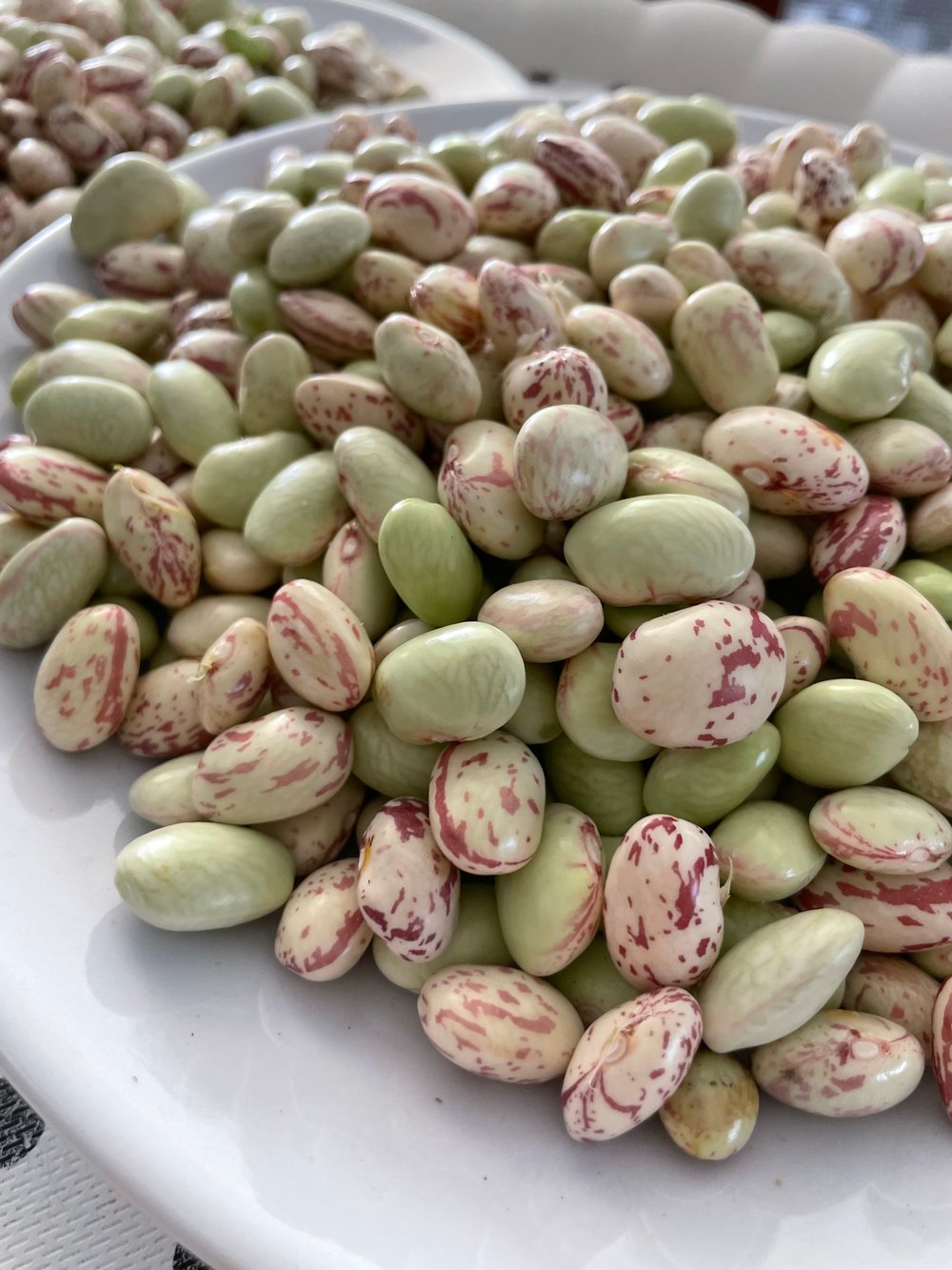 Ayıklanmış Köy Barbunyası 1 / Kg