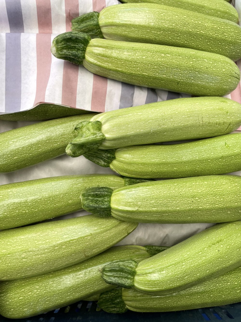 Taze Köy Kabağı 1 / Kg