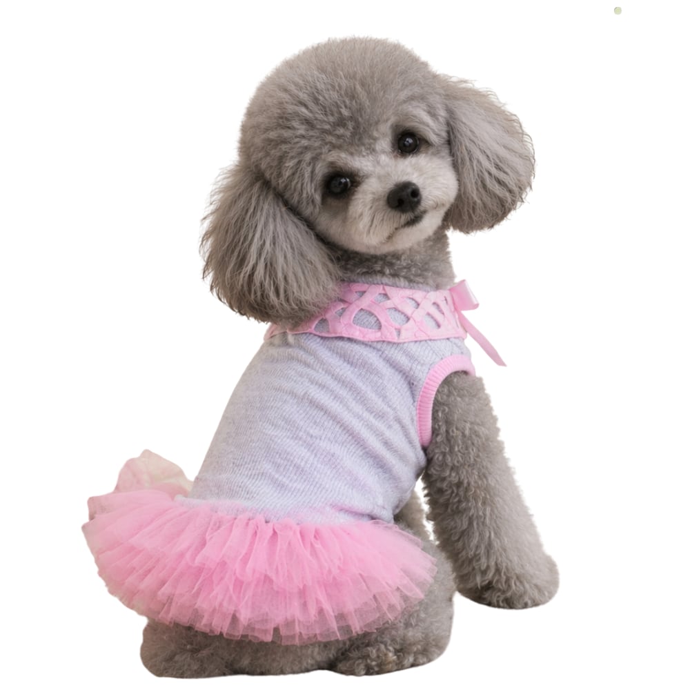 LADY - KAŞKORSE PEMBE TÜTÜ ELBİSE