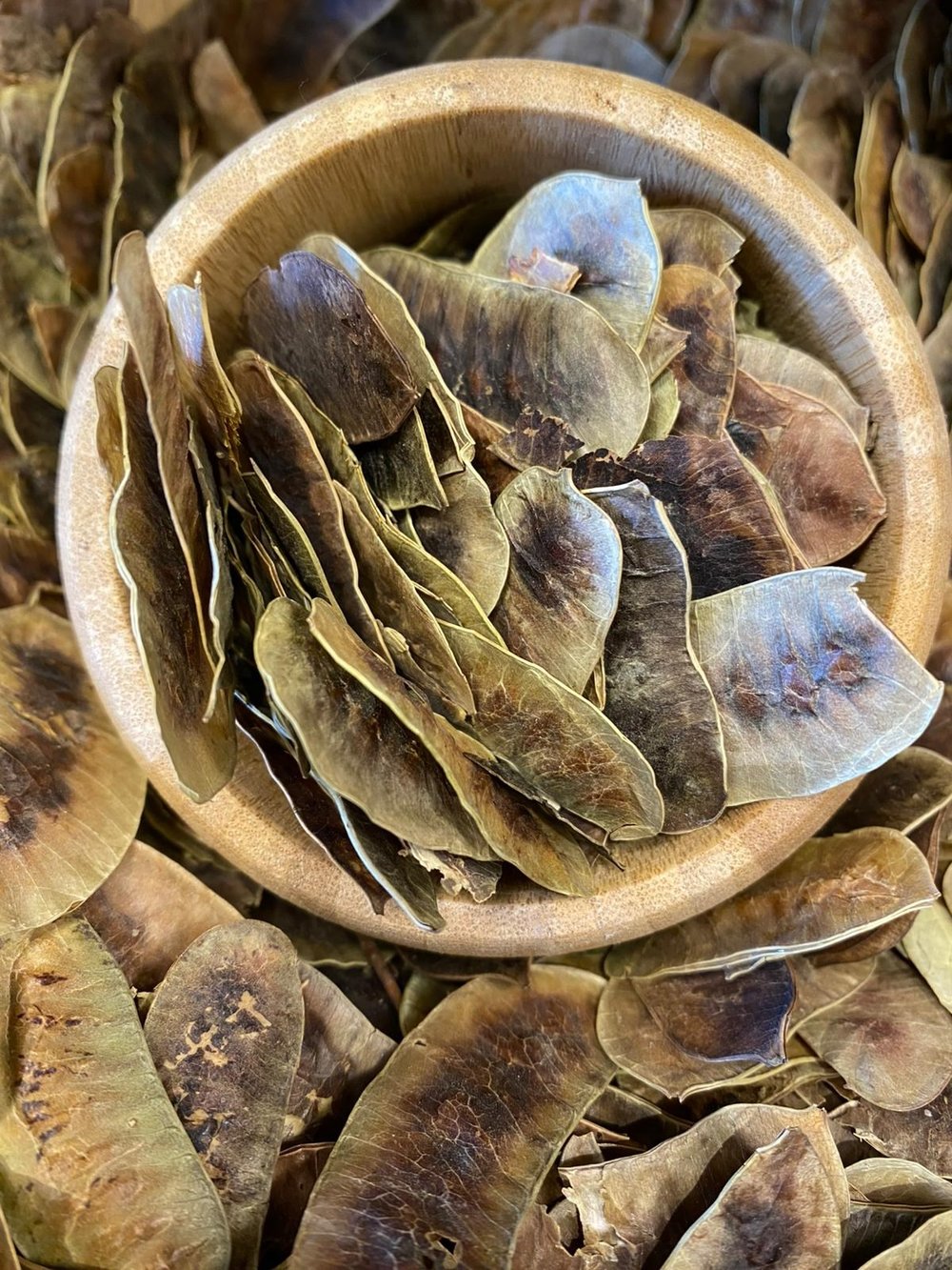 AŞLIK (DEVEGÖZÜ) OTU