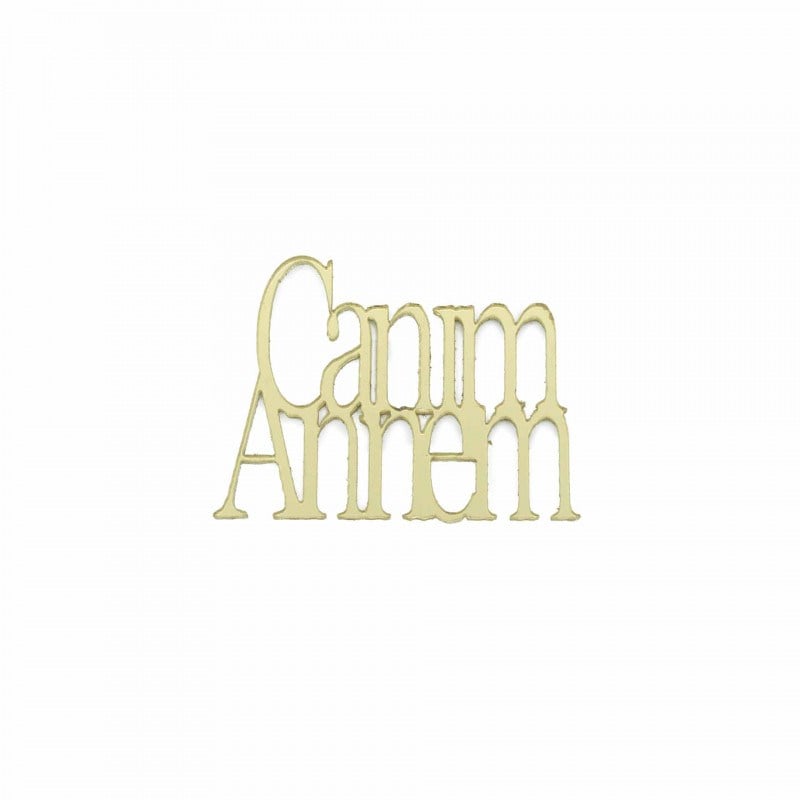 Pleksi Canım Annem 4x3 cm