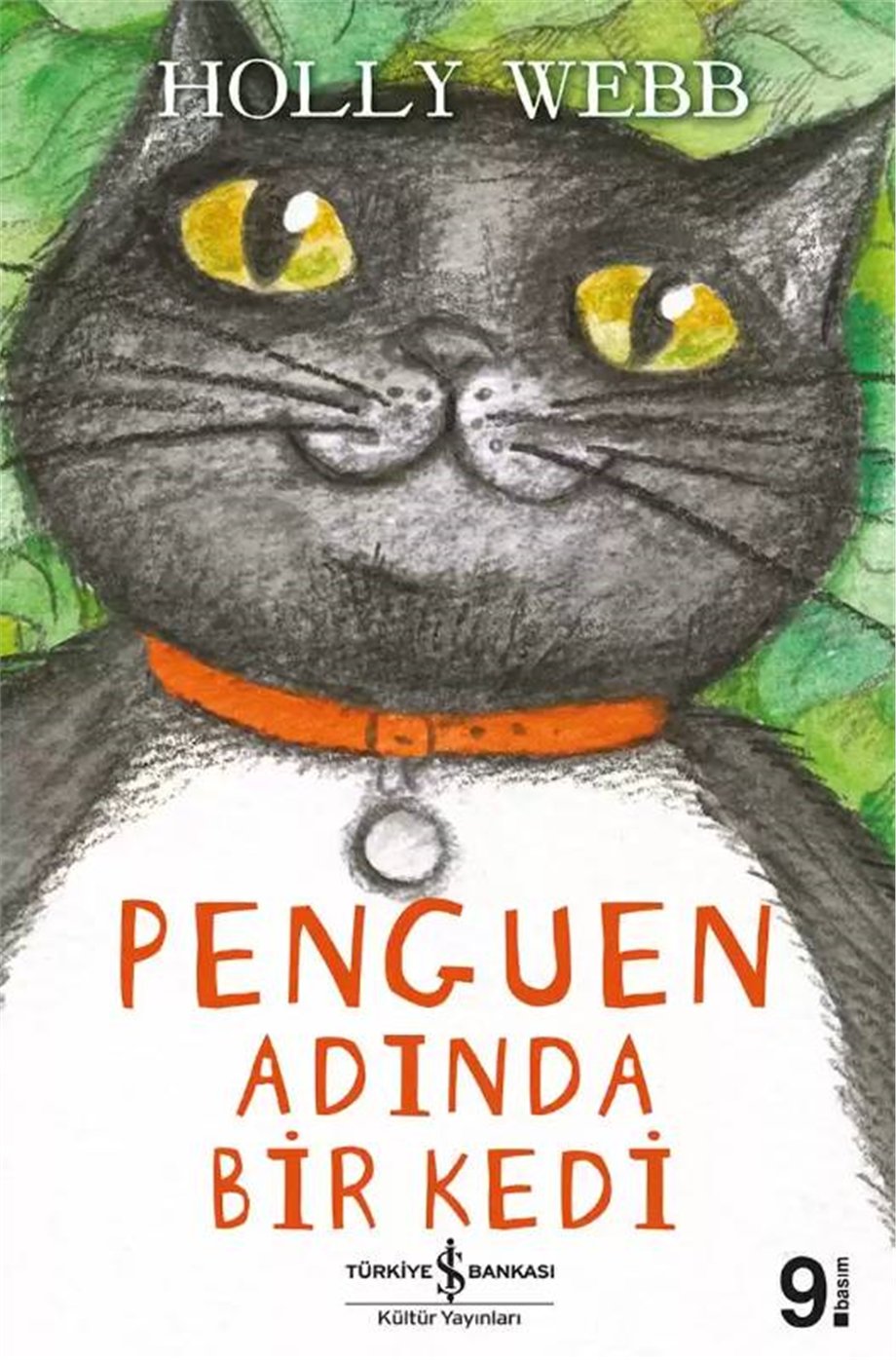 Penguen Adında Bir Kedi