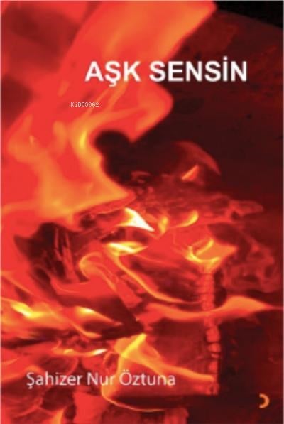 Aşk Sensin