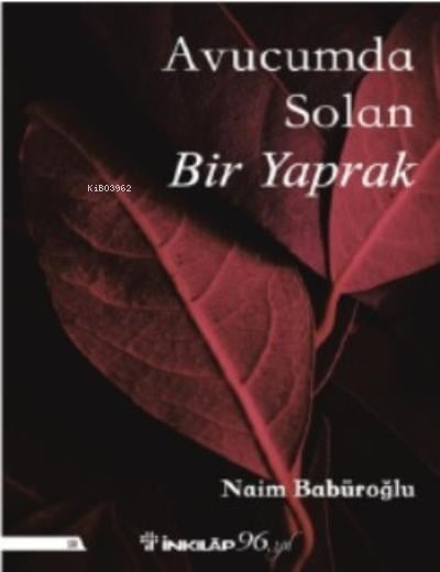 Avucumda Solan Bir Yaprak