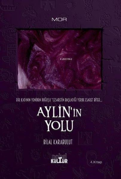 Aylin’İn Yolu - Bir Kadının Yeniden Doğuşu (Roman)